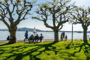Foto Kanton Zug, switzerland, canton of zug, stadt Zug