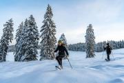 Foto Kanton Zug, switzerland, canton of zug, zugerberg