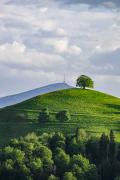Foto Kanton Zug, switzerland, canton of zug, neuheim