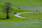 Foto Kanton Zug, switzerland, canton of zug, steinhausen